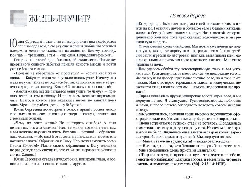 Шаг шагнуть. Сборник рассказов Игорь Чесноков Источник жизни