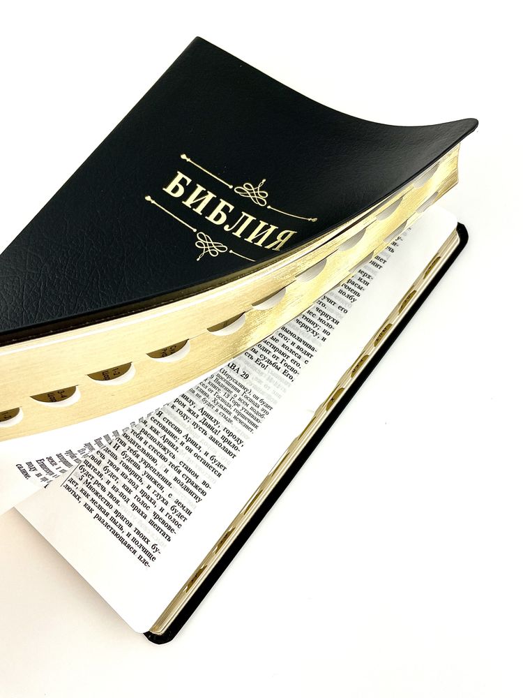 книга Библия каноническая большого форма 076TI