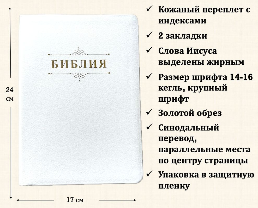 книга Библия каноническая большого формата 076TI (25076-34)