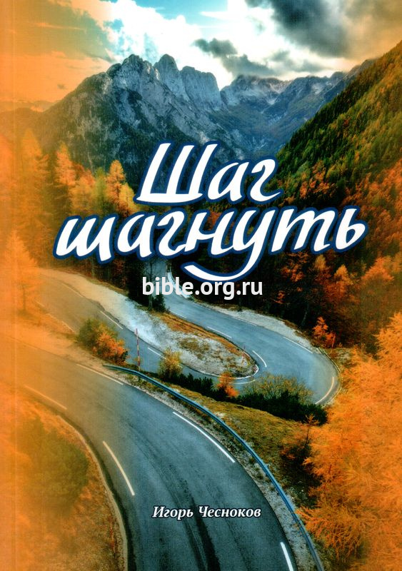 Шаг шагнуть. Сборник рассказов Игорь Чесноков Источник жизни