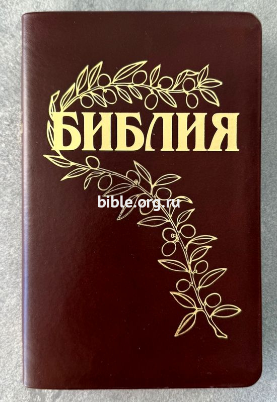 книга Библия Геце среднего формата 057 (25057-24)