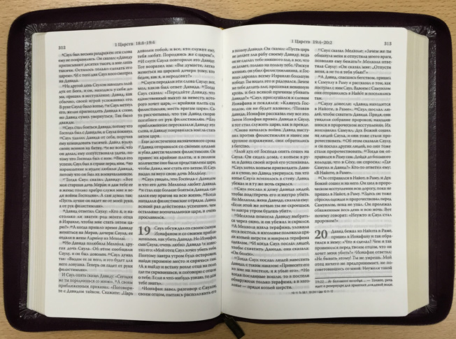 Библия каноническая среднего формата совр. пер. ТЕМНО-КОР
