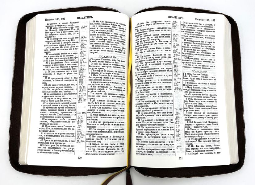 книга Библия каноническая большого форма 076z (B2)