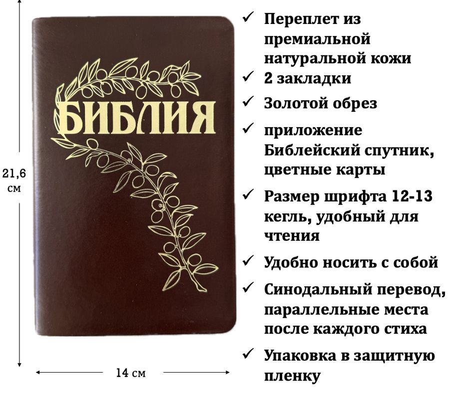 книга Библия Геце среднего формата 057 (25057-24)