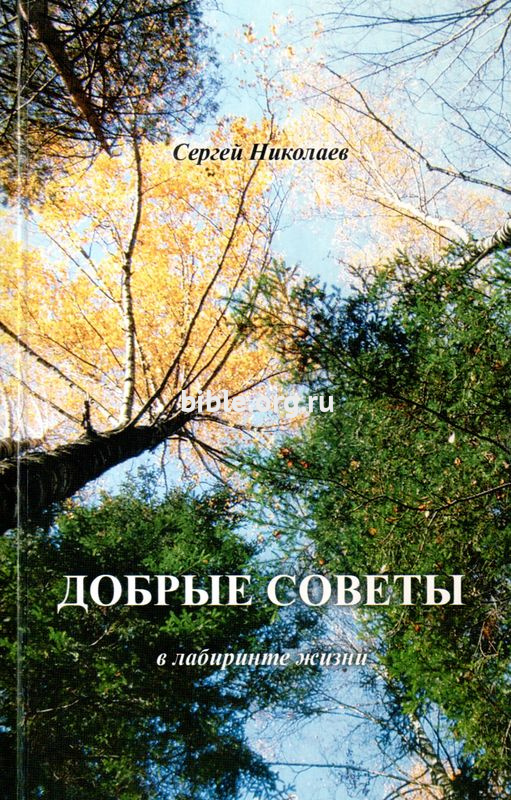 Добрые советы в лабиринте жизни Сергей Николаев СПб Евангелическая богословская академия