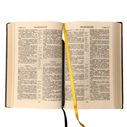 книга Библия 055 дизайн "золотая рамка с орнаментом по контуру"