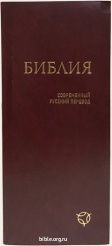 Библия каноническая малого формата 041У