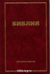 Библия каноническая малого формата 043