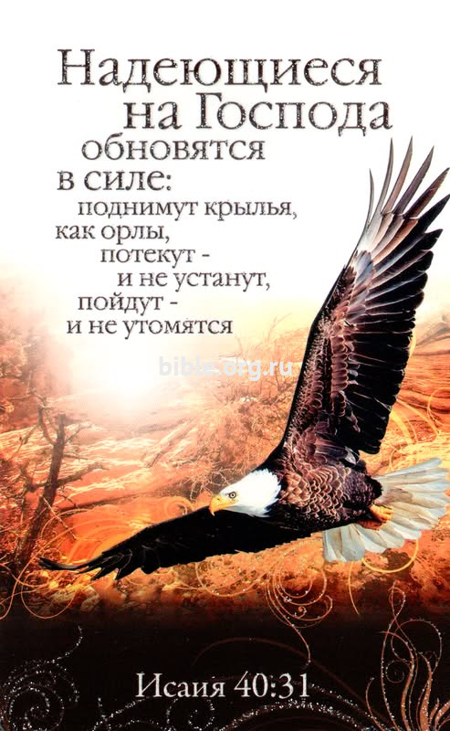 Надеющиеся на Господа обновятся в силе