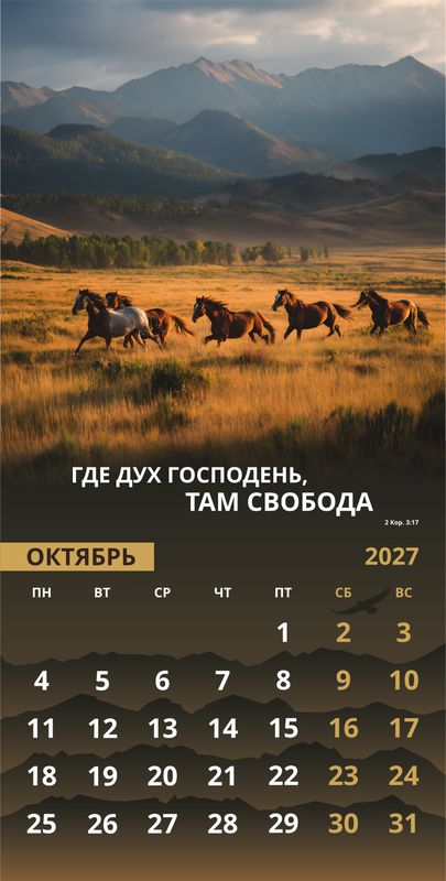 Календарь настенный перекидной Мужской «Достигая цели» 2027г