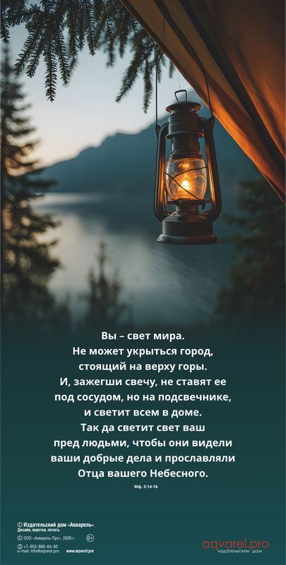 Календарь настенный перекидной Мужской «Достигая цели» 2027г