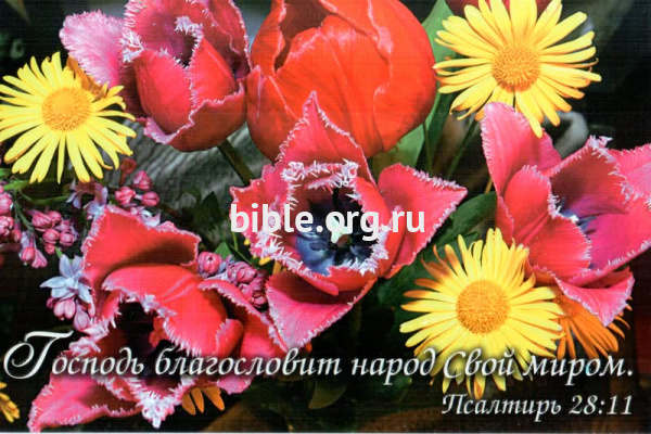 "Господь благословит народ Свой миром" Псалом 28:11. Цветы