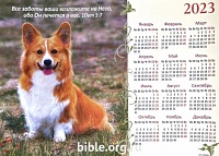 Календарь-плакат малого формата "Корги"