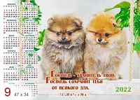 Календарь-плакат среднего формата "Собачки"