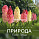 Календарь - планер перекидной «Природа славит Творца» 2027 г.