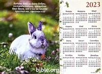 Календарь-плакат малого формата "Кролик"