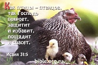 Открытка "Как птицы - птенцов, так Господь покроет, защитит и избавит..."