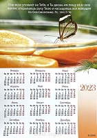 Календарь-плакат малого формата "Апельсины"